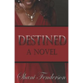 Destined: A Love Story