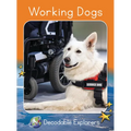 Working Dogs: Fluency Boost