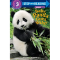 Baby Panda Goes Wild!