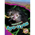 Aye-Ayes