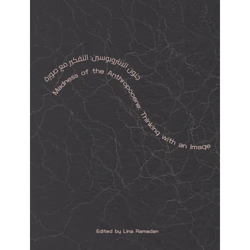 Madness of the Anthropocene: Thinking with an Image