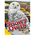 Snowy Owls