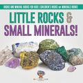Little Rocks & Small Minerals! Rocks And Mineral Books for Kids Children's Rocks & Minerals Books