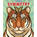 Seeing Symmetry