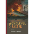 Wonderful Disaster