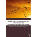 Migration and Intercultural Psychoanalysis: Unconscious Forces and Clinical Issues