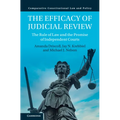 The Efficacy of Judicial Review