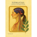 Die Biologie und Trauma: Perspektiven für Betroffene und Angehörige in Anlehnung an Dr. Aimie Apigians Forschungen