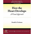 How the Heart Develops: A Visual Approach