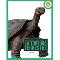 La Tortuga Terrestre