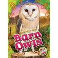 Barn Owls