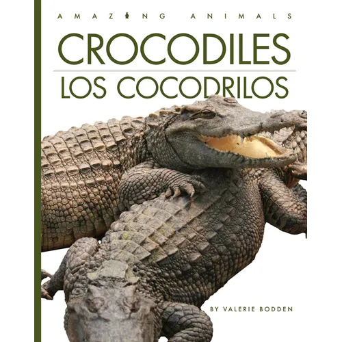 Crocodiles / Los Cocodrilos