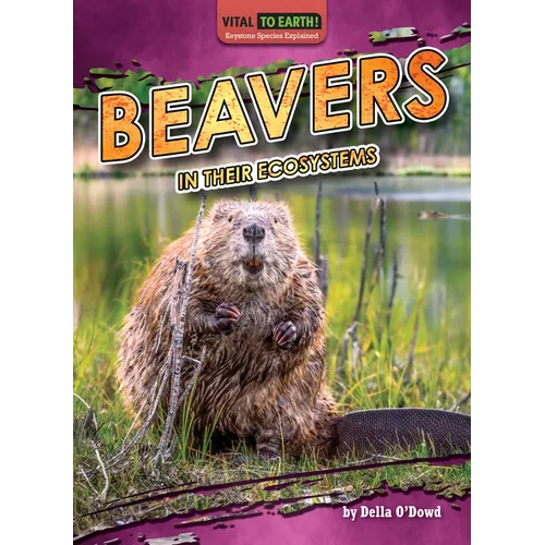 Beavers in Their Ecosystems