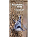 Massachusetts Birds
