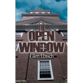 The Open Window