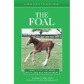 Understanding the Foal: Your Guide to Horse Health Care and Management