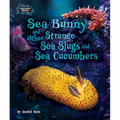 Sea Bunny and Other Strange Sea Slugs and Sea Cucumbers