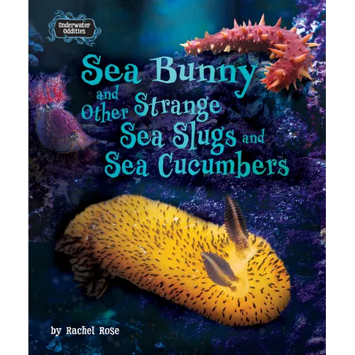Sea Bunny and Other Strange Sea Slugs and Sea Cucumbers