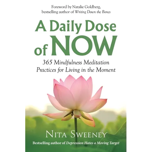 A Daily Dose of Now: 365 Mindfulness Meditation Practices for Living in the Moment