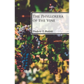 The Phylloxera of the Vine