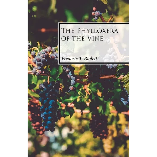 The Phylloxera of the Vine