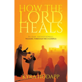 How the Lord Heals: 55-Day Devotional: Walking Through the 4 Gospels