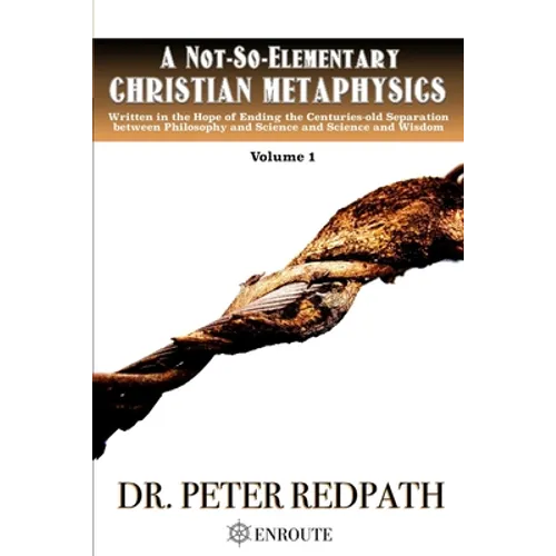 A Not-So-Elementary Christian Metaphysics, Volume 1: Written in the Hope of Ending the Centuries-old Separation between Philosophy and Science and Sci