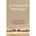 A Thousand Flamingos