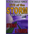 Black Eagle Force: Eye of the Storm (Revised)