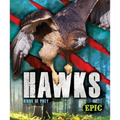 Hawks: Birds of Prey