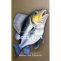 It's Time to Learn about Bass Fish