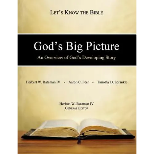 God's Big Picture: An Overview of God's Developing Story