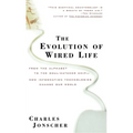 The Evolution of Wired Life: From the Alphabet to the Soul-Catcher Chip -- How Information Technologies Change Our World