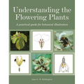 Understanding the Flowering Plants: A Practical Guide for Botanical Illustrators