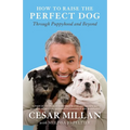 How to Raise the Perfect Dog: Through Puppyhood and Beyond