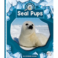 Seal Pups