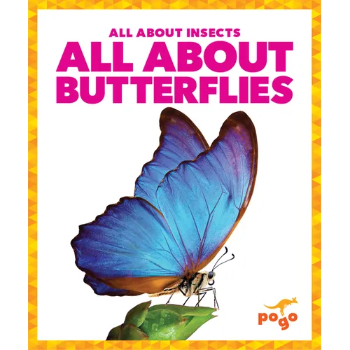All about Butterflies