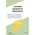Résilience de l'Ingénieur: Architecture d'Entreprise