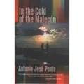 In the Cold of the Malecón