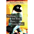 Nothing for You Here, Young Man