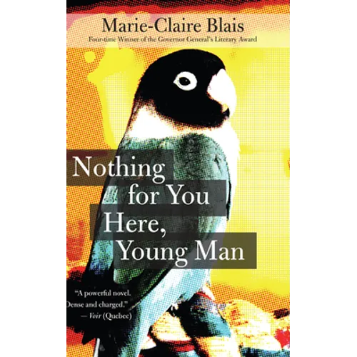 Nothing for You Here, Young Man