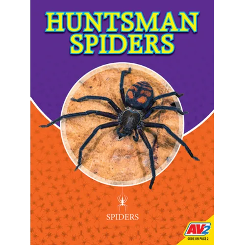 Huntsman Spiders