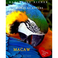 Macaw: Words of Nature