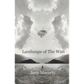 Landscape of The Wait