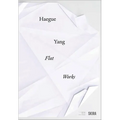 Haegue Yang: Flat Works