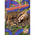 Cottonmouths