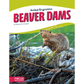Beaver Dams