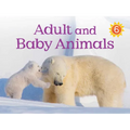 Adult and Baby Animals: English Edition