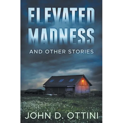 Elevated Madness and Other Stories