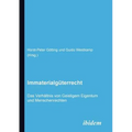 Immaterialgüterrecht. Das Verhältnis von Geistigem Eigentum und Menschenrechten.